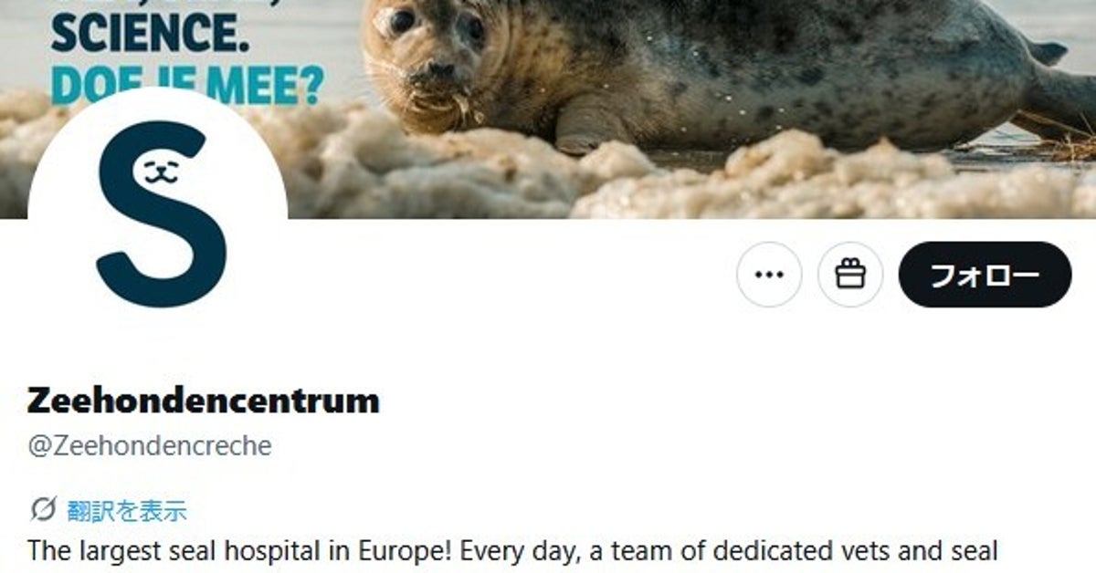 オランダの「アザラシ幼稚園」が財政危機…支援呼びかけに「寄付しました」「メンバー登録しました」と応援続々
