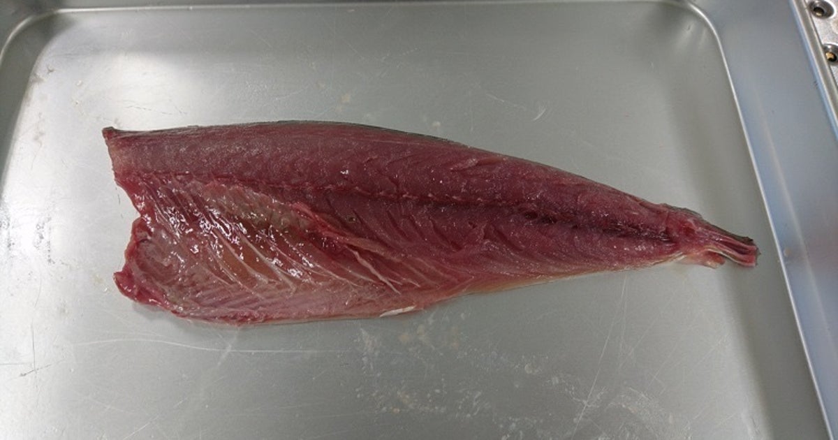 写真の魚に「寄生虫」…どこにいるか分かる?見つけるポイントは「黒い点」