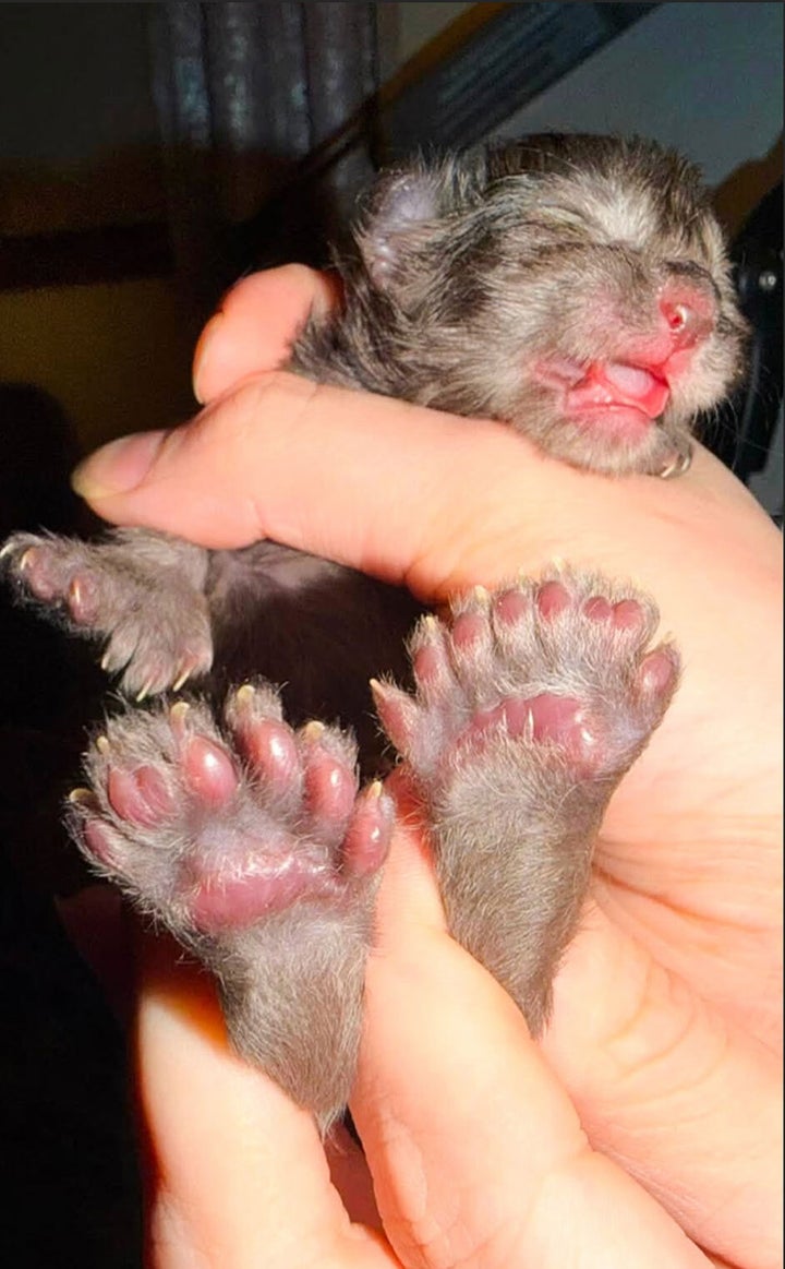 Baby Erebus’ bounty of beans.