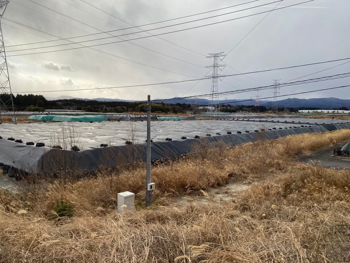 積み上げられた除染土（2025年2月18日、中間貯蔵施設で）