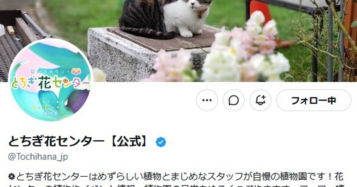 その赤い実、絶対に触らないで！“暴君”をかじった“挑戦者”に「辛そう」「無謀」と戦慄の声