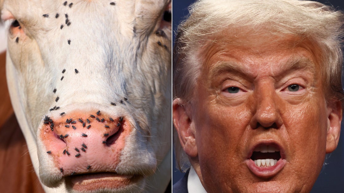 Trump Wants To 'Allow' Cattle Farmers To Process Their Own Beef. Are We Sure This Is A Good Idea?!