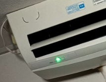 夜中に愛猫の生首が...⇨衝撃ショットに「ホラーすぎた」「どうなってるの⁉︎」と10万「いいね」
