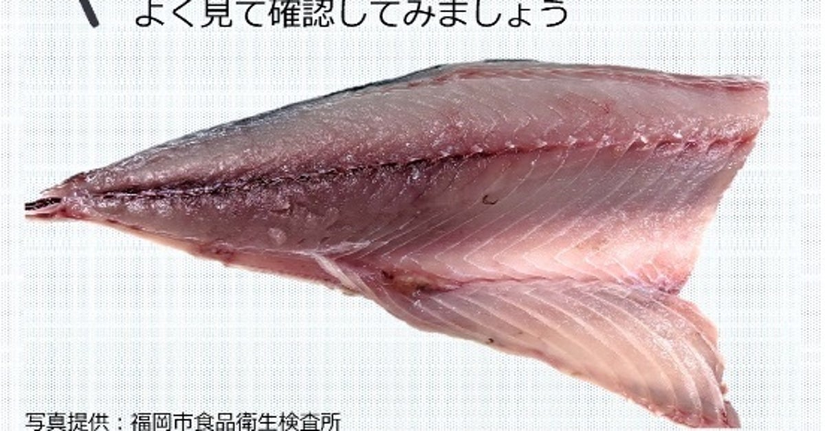 この魚の切り身、絶対に食べないで。写真のサバに「寄生虫」…わかる？ブラックライトで照らすとこんなにいた