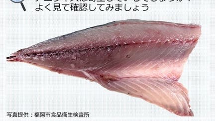 長江重和 七宝文染付茶碗 七宝文染付湯呑 曜変天目茶碗ではない」陶芸家の長江惣吉氏が訴える なんでも鑑定団に