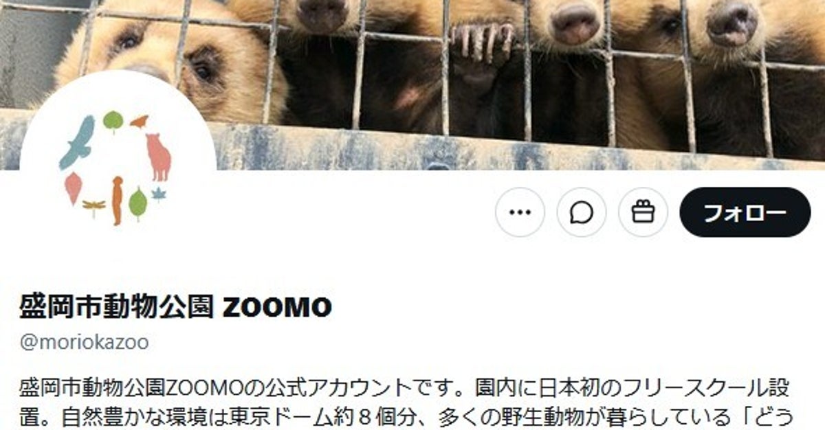 岩手県・盛岡市動物公園 ZOOMOが3頭目のアルビノのリスを保護⇒「穏やかに過ごせますように」と反響集まる
