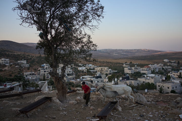 A Palestinian boy walks with his donkeys in the West Bank village of al-Mughayyir, Tuesday, Sept. 1, 2026. (AP Photo/Leo Correa)
