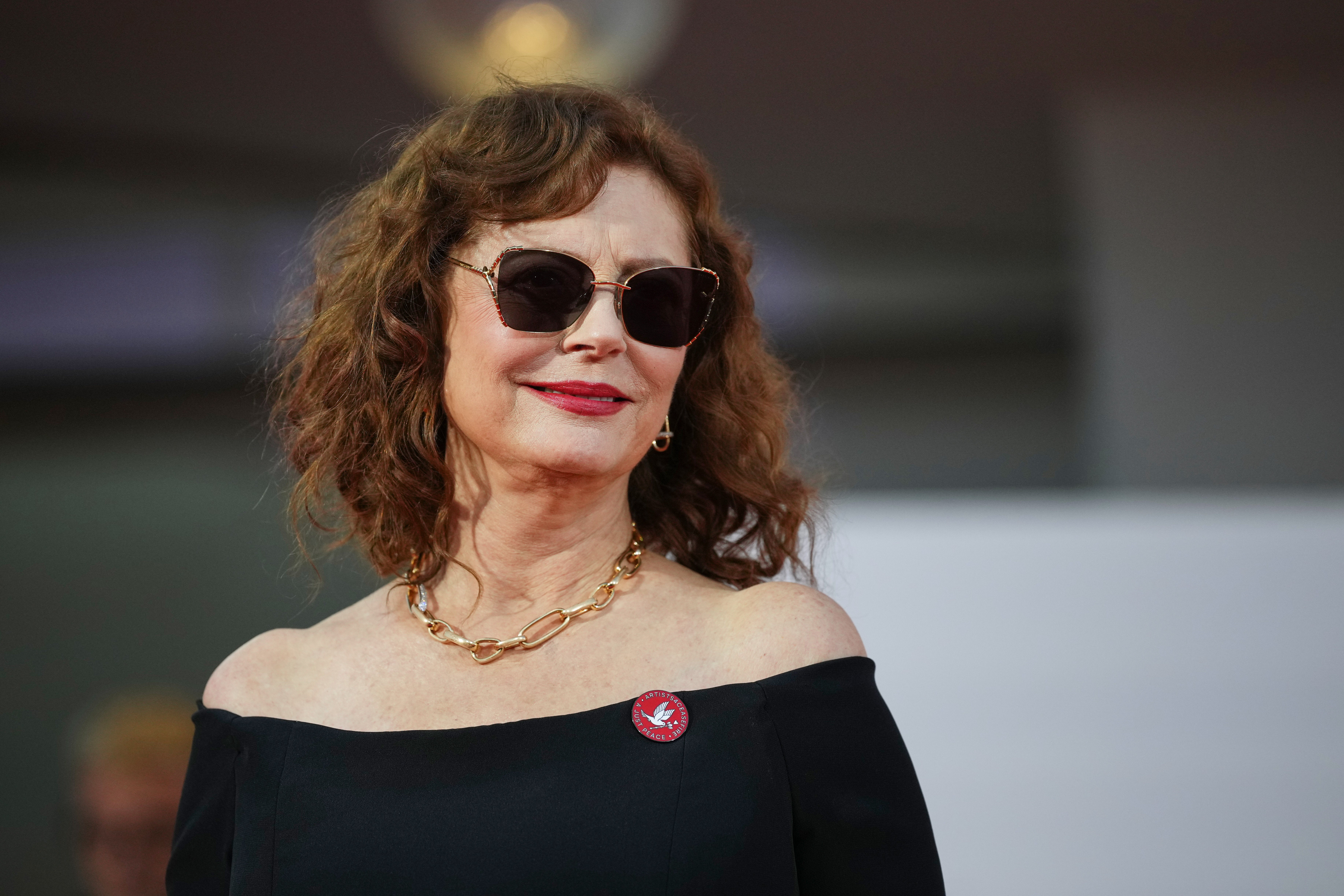 Susan Sarandon Claims She Recently Had Films 'Taken Away' Due To Palestine Support