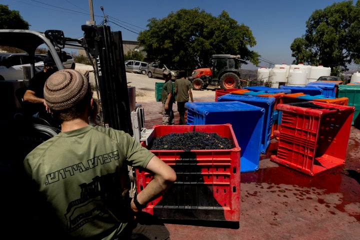 Jewish settlers work at a winery at the Yitzhar settlement in the West Bank, south of the Palestinian city of Nablus on Sept. 8, 2026. The U.K. government announced a comprehensive trade ban and targeted sanctions on goods and services from the illegal settlements in the occupied West Bank, saying “settler terrorists” are carrying out “ethnic cleansing” of Palestinians in the occupied territory.