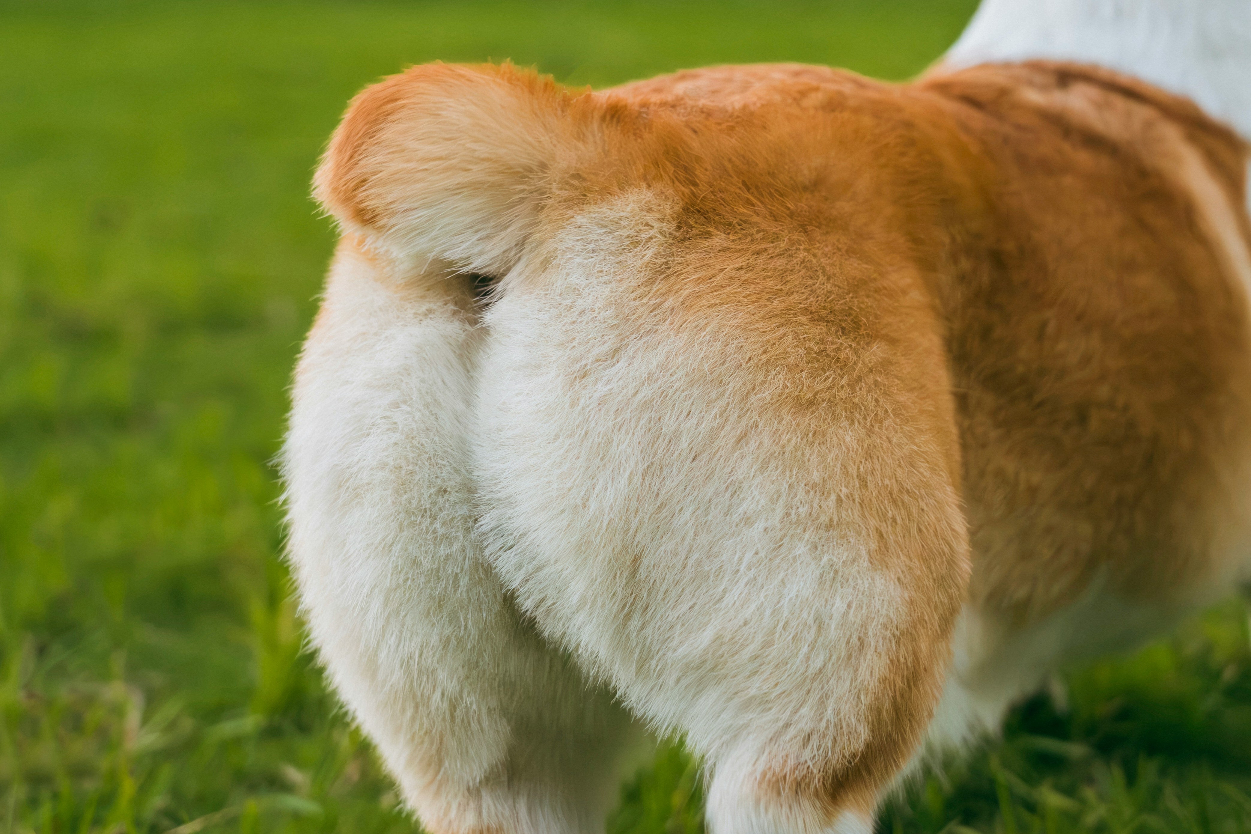 What Different Fart Smells (And Sensations) Can Tell You About Your Health