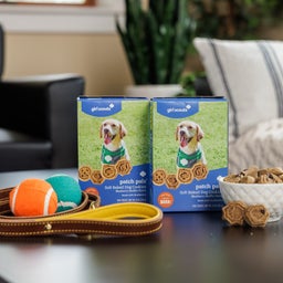 How Sweet! Girl Scouts Cookies Are Going To The Dogs