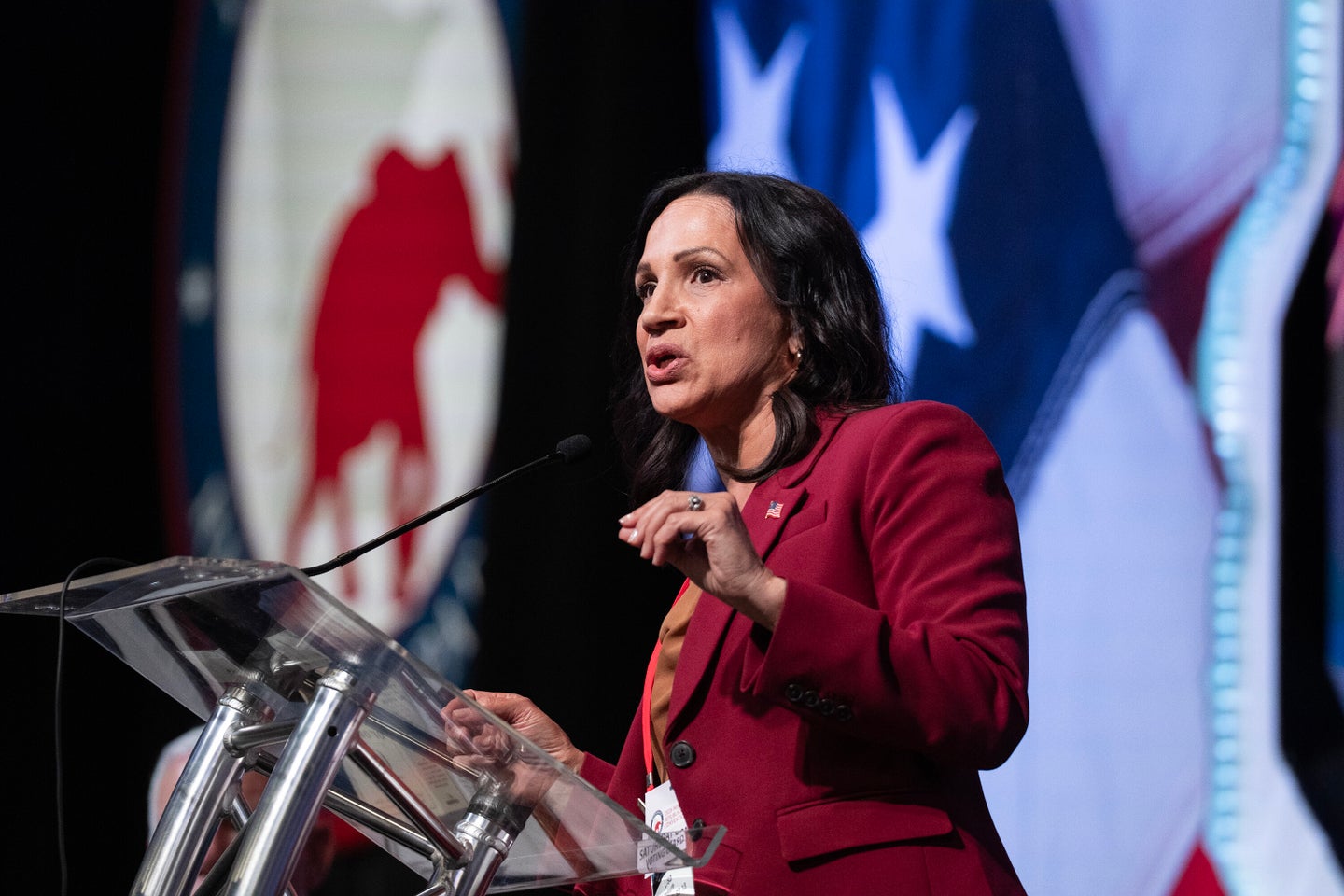 Tahei Rakei GOP Governor Candidate’s Daughter Rakes Mom Over The Coals | HuffPost ...