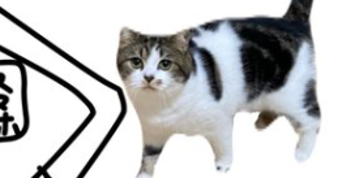 スマホを見ていたら愛猫がやってきて…⇒最後はこうなる「寸分違わず一緒」「うちも毎晩これ」