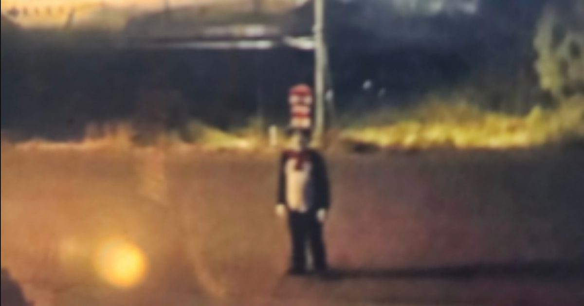 Warning Over 'Unsettling' Cat In The Hat Trend On Social Media