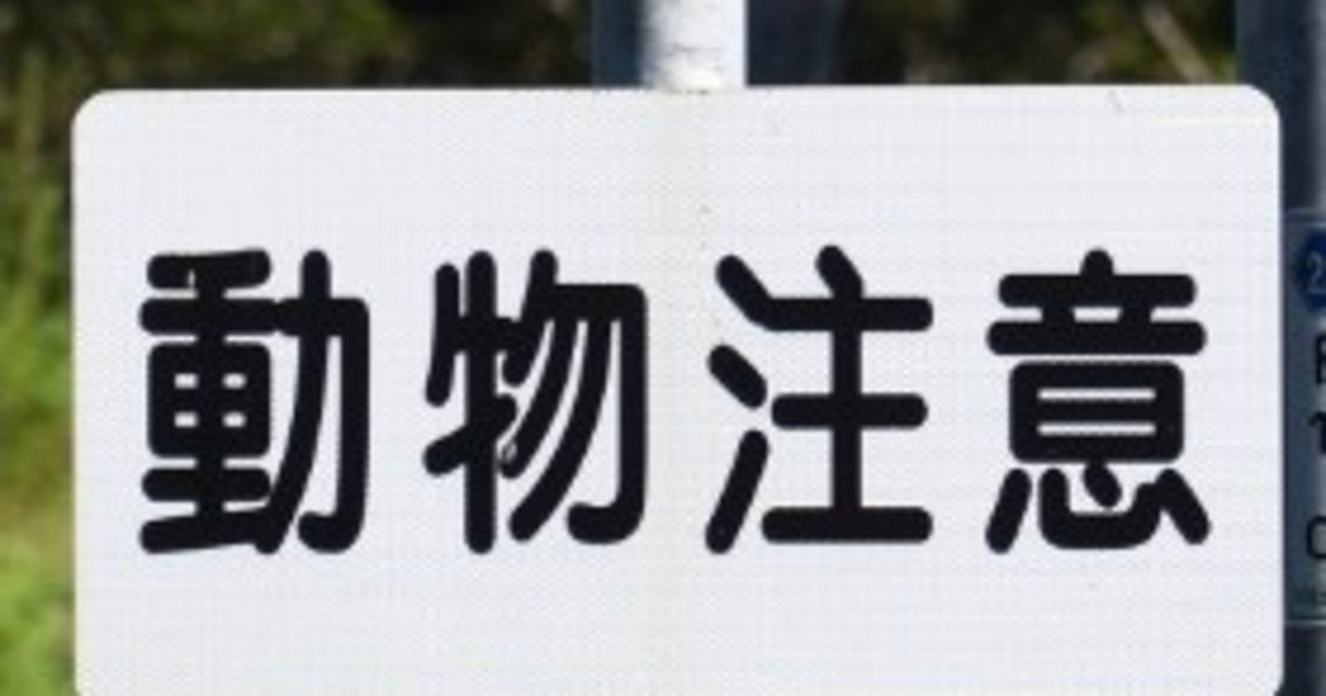 北海道で発見、手描きの“道路標識”に「みんな上手」「素晴らしい」と絶賛の声。デザインしたのは意外な人物