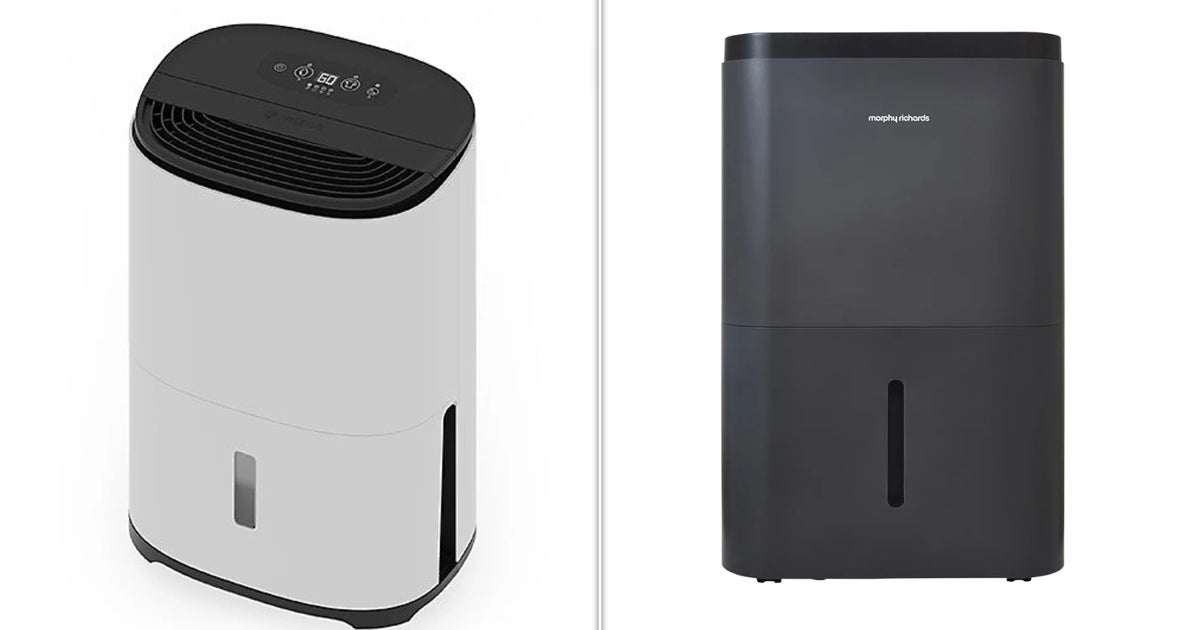 These 5 Best Dehumidifiers Will Help You Winter Proof Your Home From Damp As Super El Niño Approaches