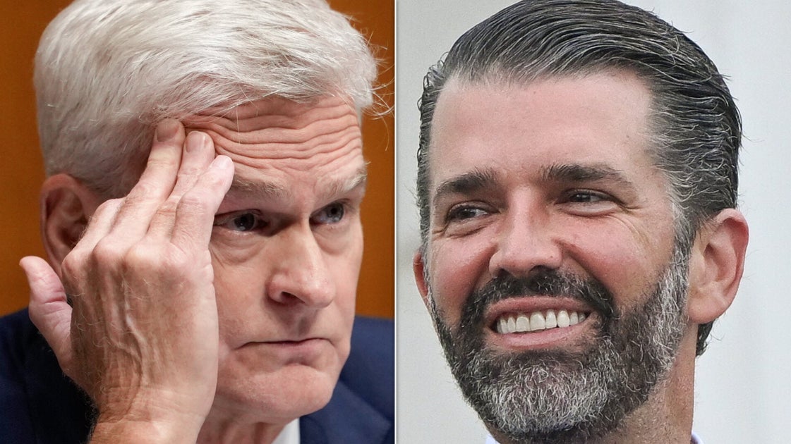 Senator Bill Cassidy bezeichnet Donald Trump Jr.s kostbares ...