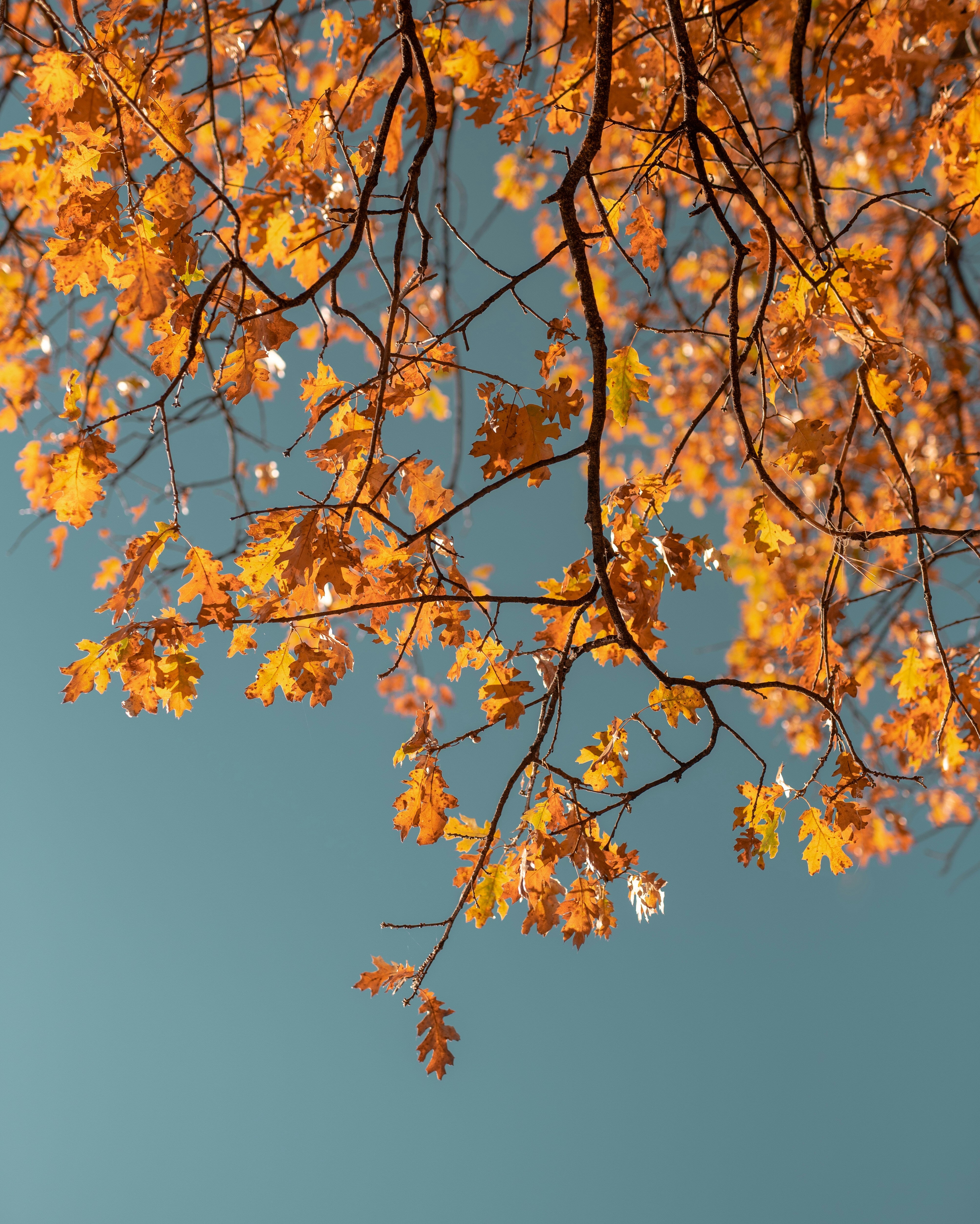 I Asked An Astrologer What The 2026 Autumn Equinox Could Mean For Careers And Relationships