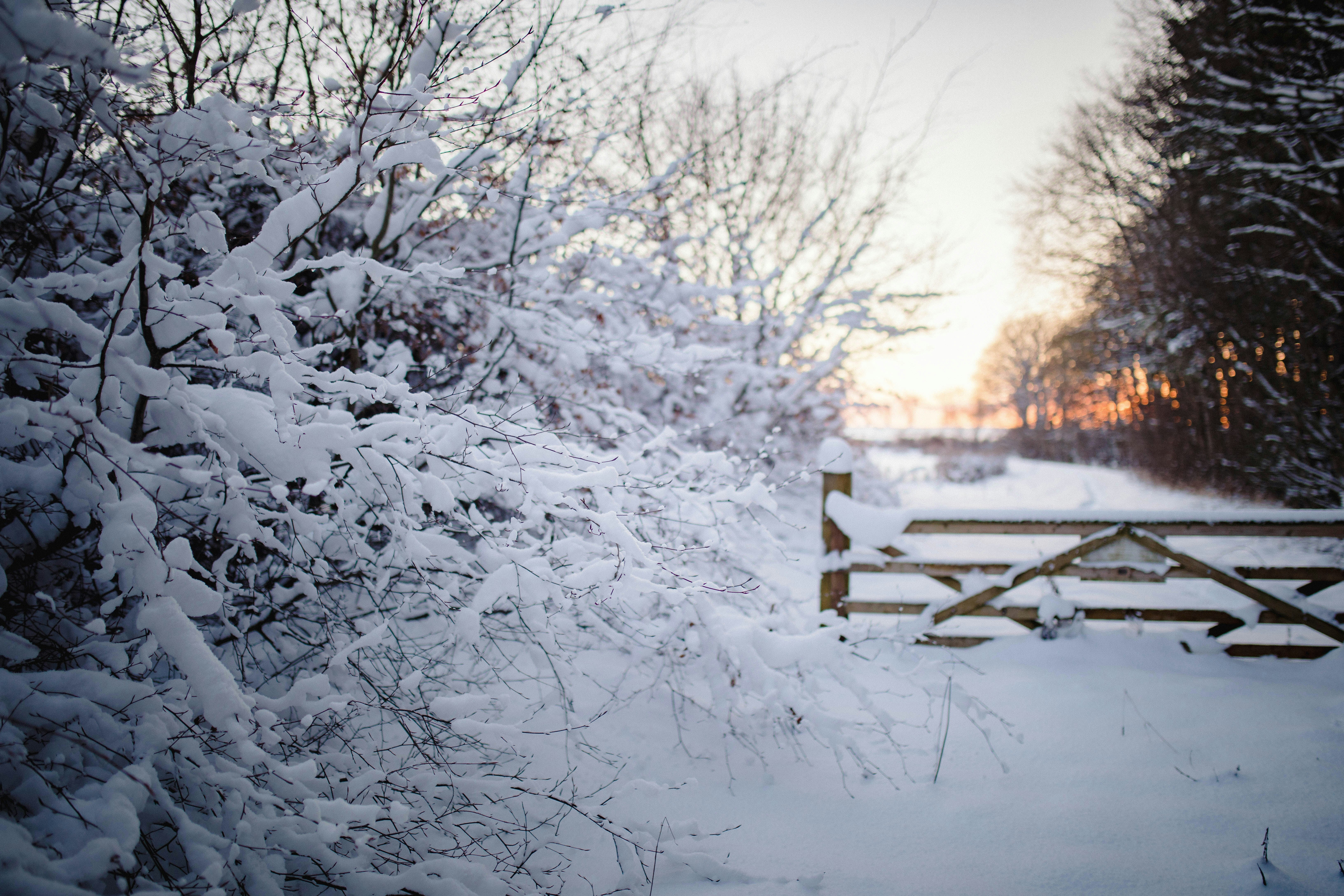 Will The 'Polar Vortex' Bring Freezing Temps To The UK This Winter?