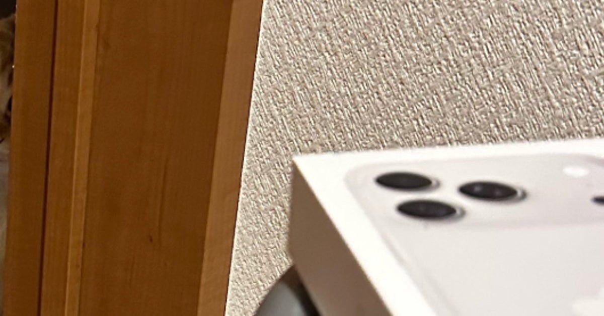 新品のiPhoneに保護フィルムを貼っていたら…⇒まさかの“天敵”登場に「このタイミング、マジであかんやつ」