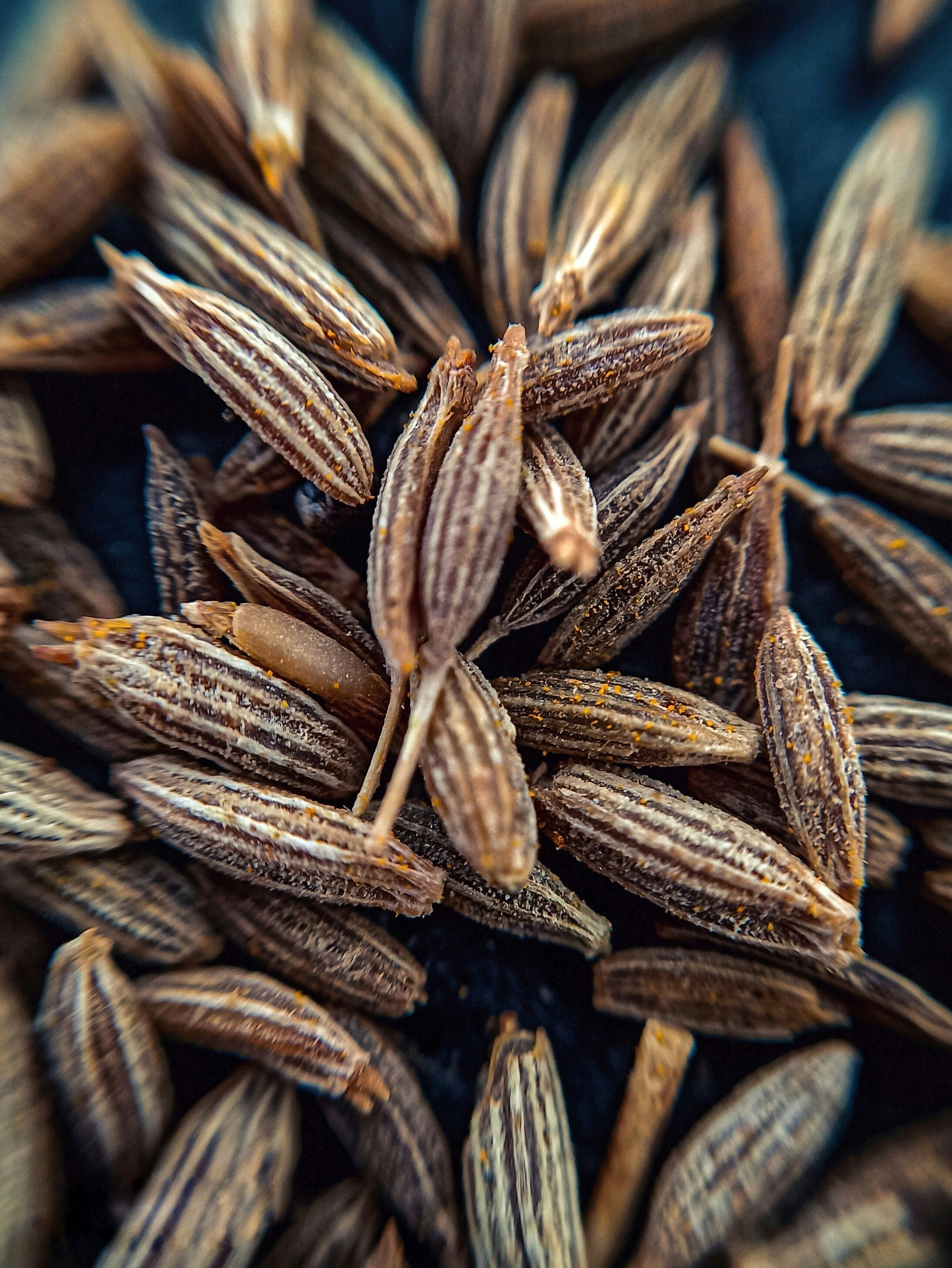 I Just Learned Where Cumin Really Comes From, And It's Not A Seed