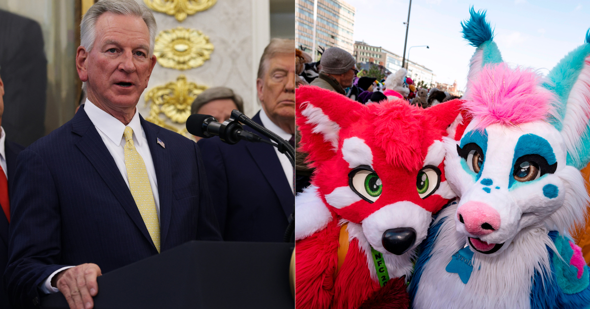 A MAGA Senator Went On A Wild Tangent About Furries. Here's Why.