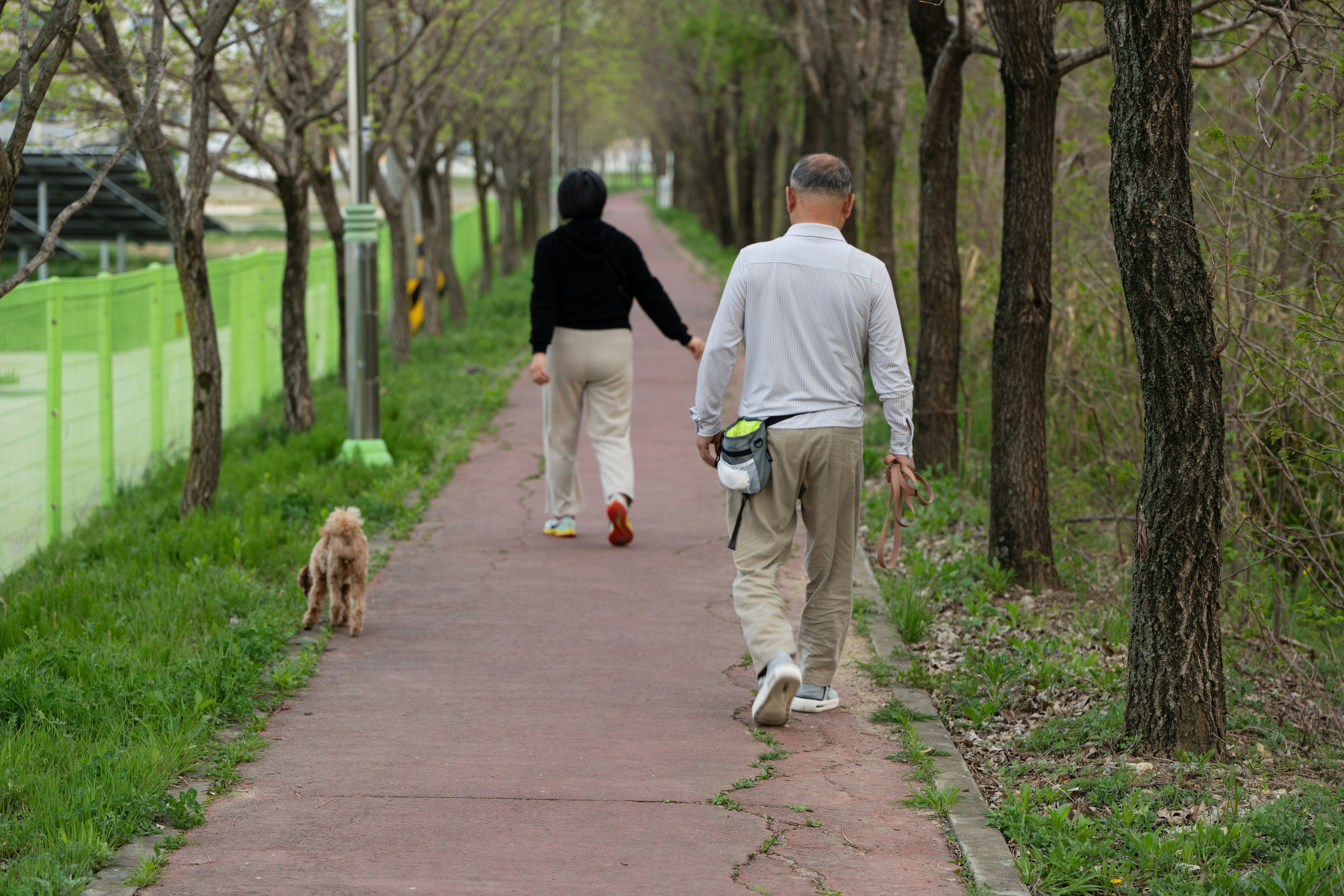 How Much You Walk Every Day Is Linked To Dementia Risk