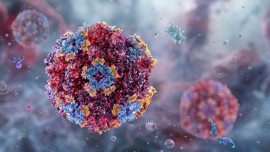 Norovirus Rates Are Increasing. Here's What To Know.