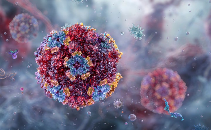 Norovirus cases are on the rise across the country.