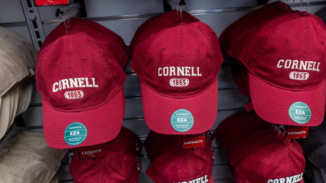 Wir sind Absolventen der Cornell University. Wir sind auch Traumaexperten ...