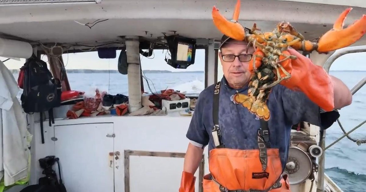 Trump Tried To Make An Ally Out Of Fishermen. Some Have Started To Turn On Him