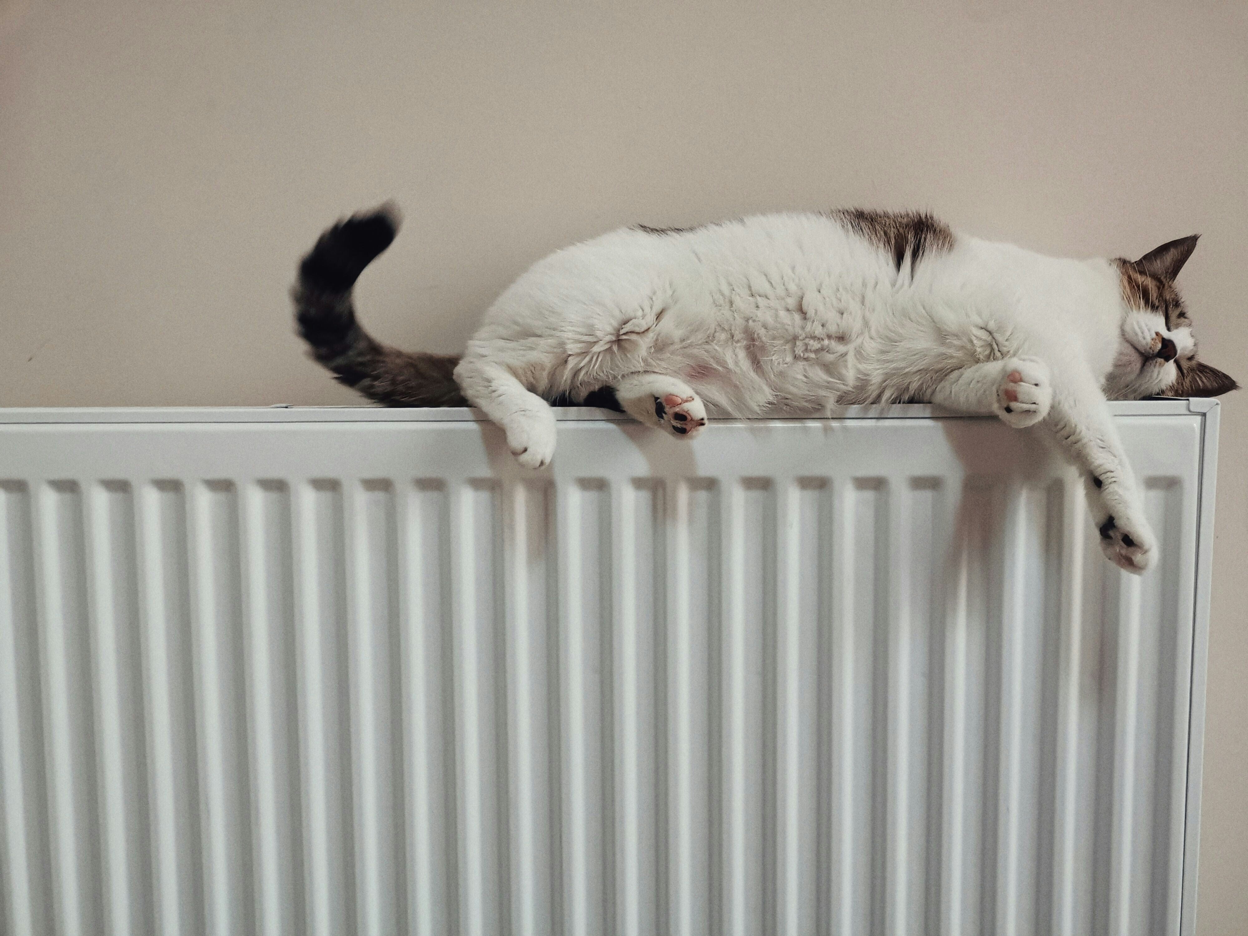 7 Boring But Brilliant Ways To Keep Energy Bills Down This Winter