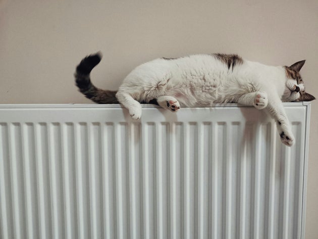 Clear furniture away from your radiators.