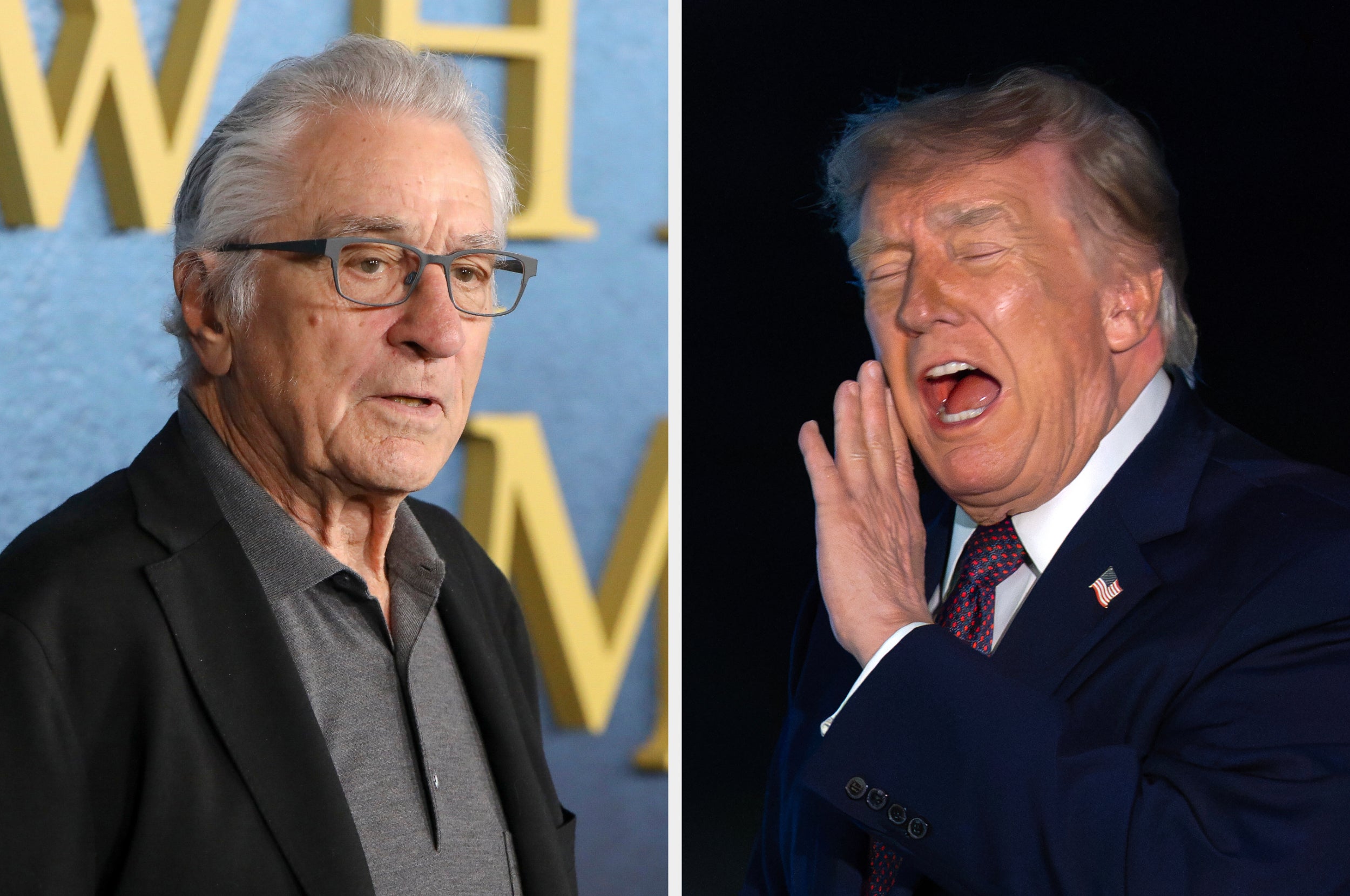 Robert De Niro Tells 'Piece Of S**t' Donald Trump: 'Keep Your F**king Hands Off Our Vote'