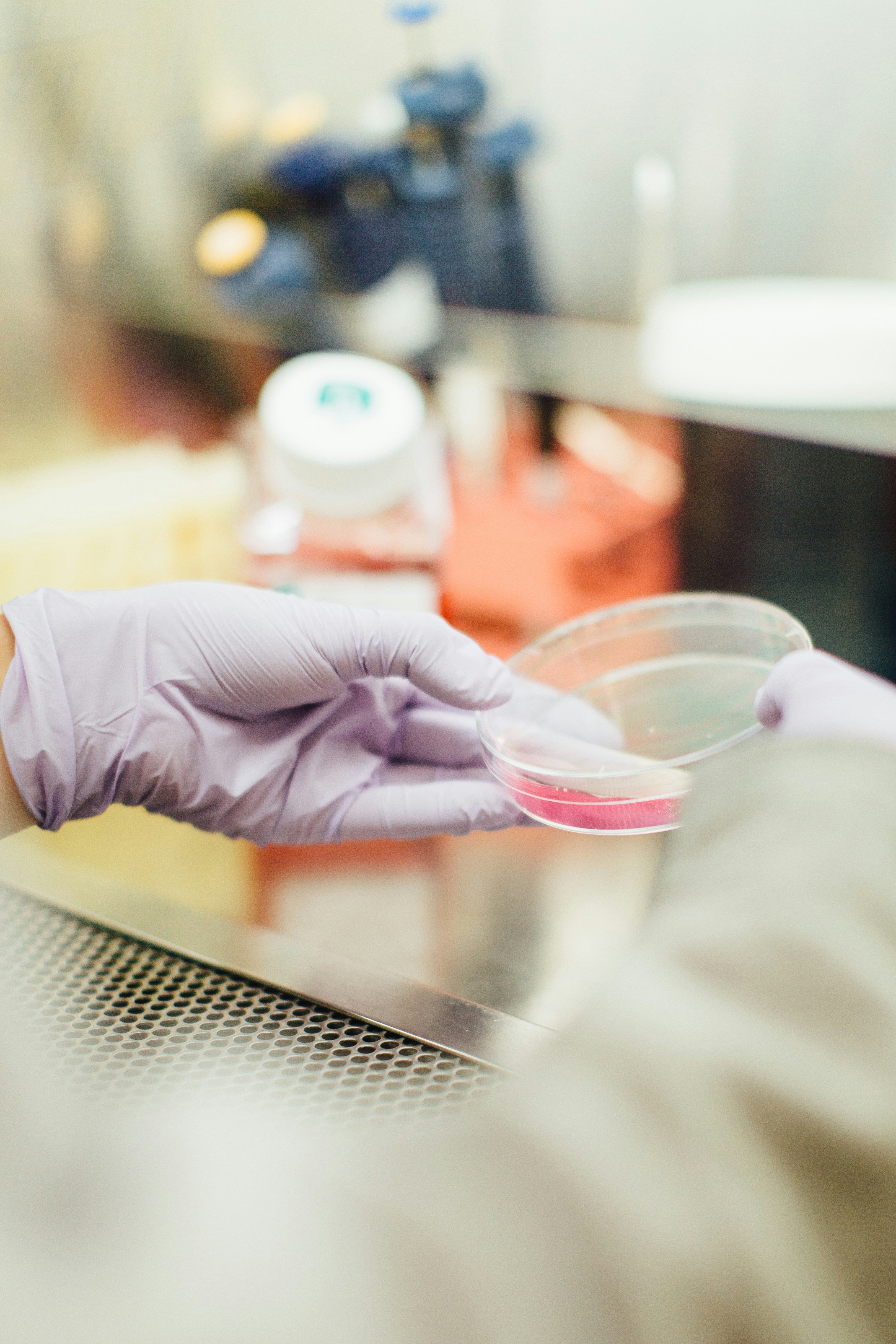 'Zombie Cells' Build Up As We Age. Researchers Now Think They Know Why