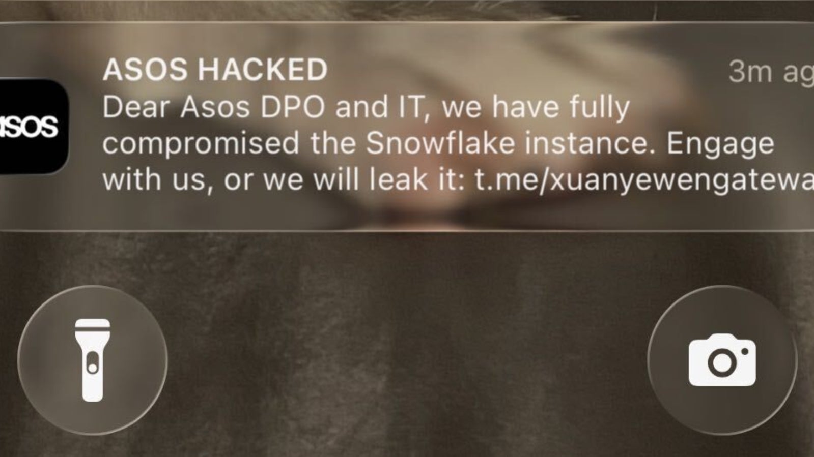 ASOS 'Snowflake Hack': App Users Report 'Scary' Notification