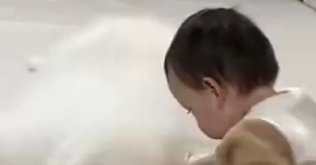 1歳児が枕にしたのは…⇒困惑する愛犬に「そこで寝るの…?って顔」「枕に選ぶセンス最高」と反響