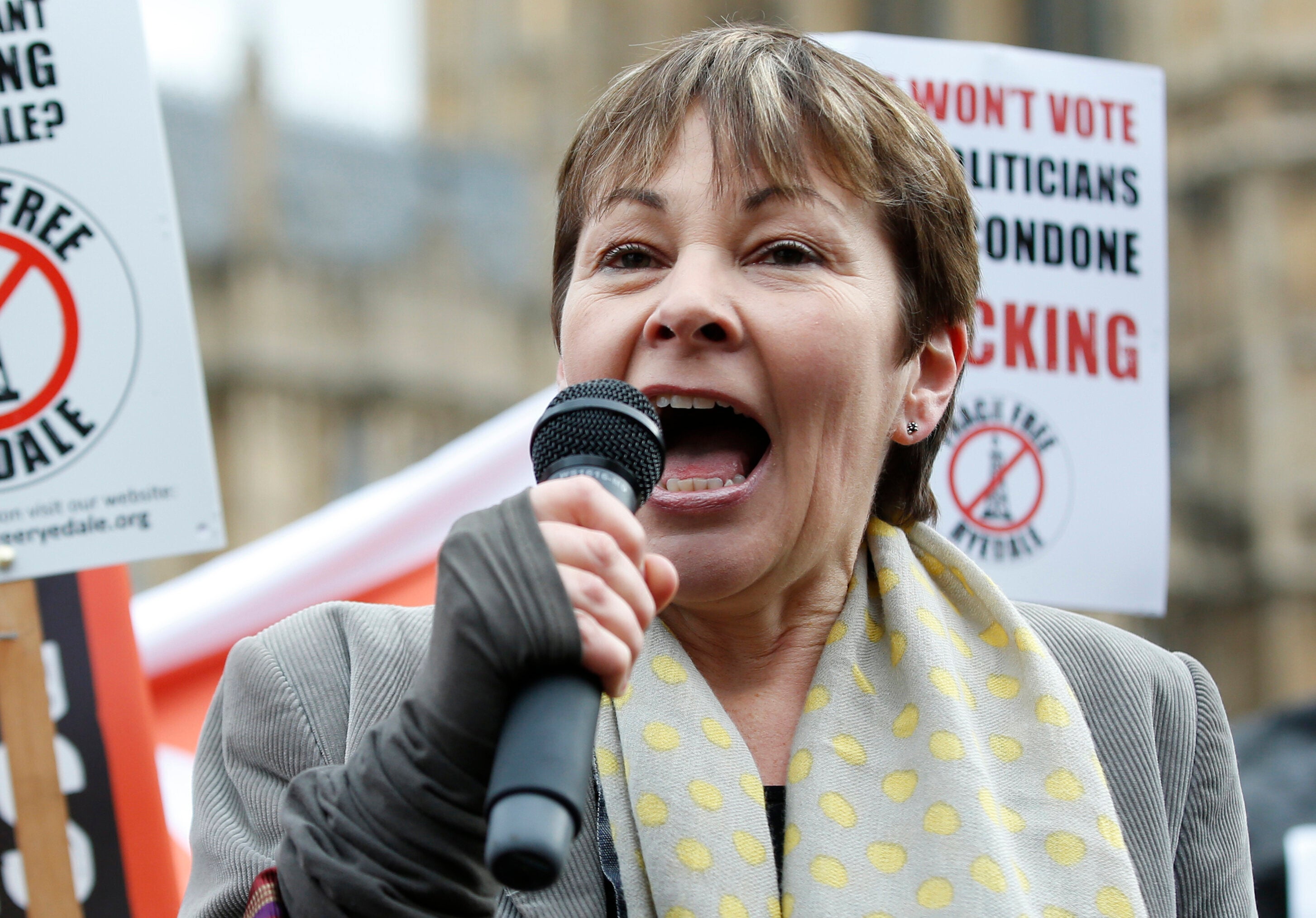 Former Green Party Leader Slams Zack Polanski For Dodging 'Zionism Is Racism' Vote