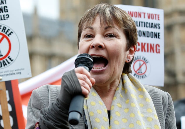 Former Green Party leader Caroline Lucas.