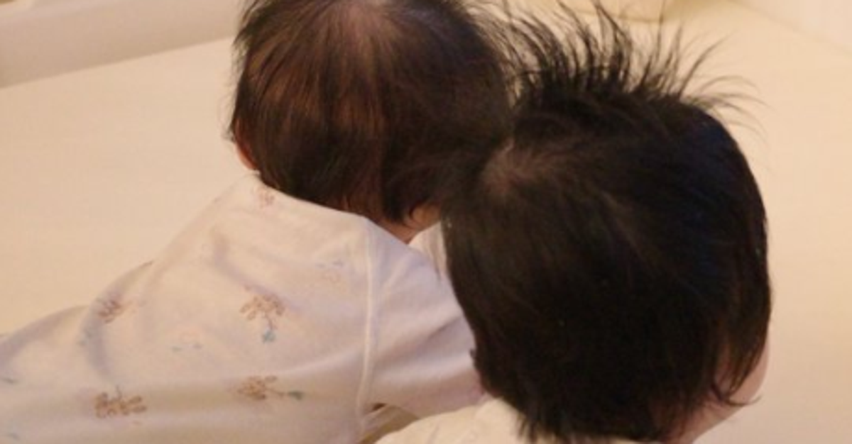 マヂラブ村上の愛犬、双子の赤ちゃんの熱視線に“気まずそう”⇨ついにバズった1枚に「村上さんに似てるw」と爆笑