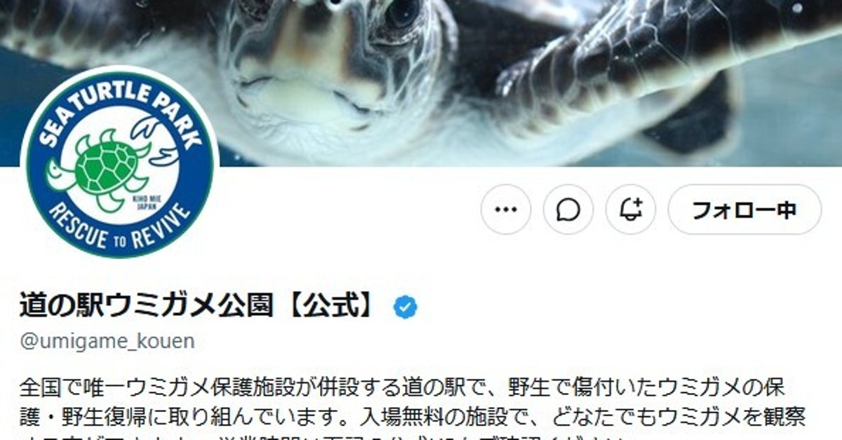 カメに餌をあげようとしたら⇒「欲しているのはスタッフさんの…」「カメあるある」と戦慄と共感の声