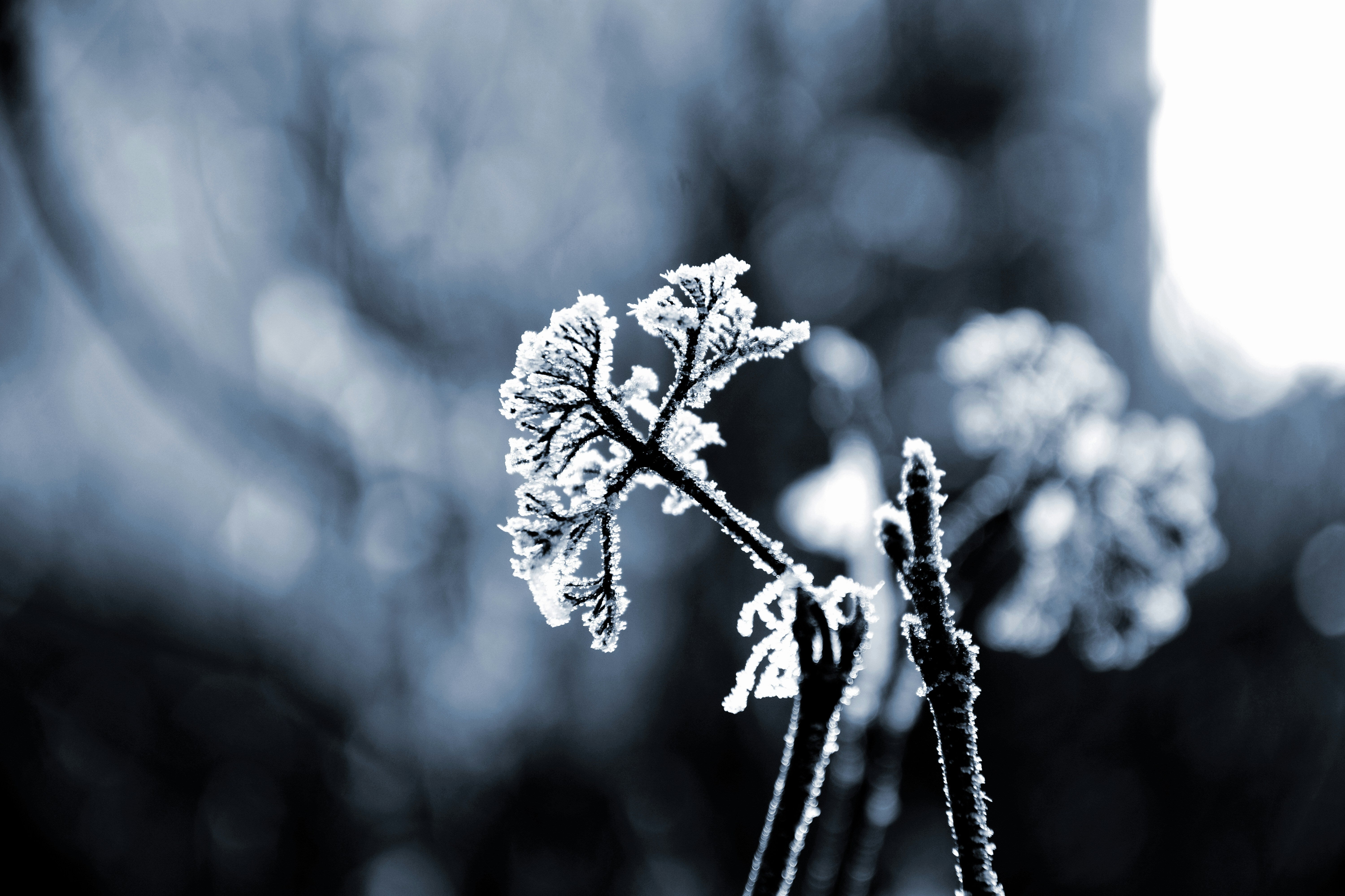 Parts Of The UK Could Face A Winter-Long Drought, Hydrologist Warns