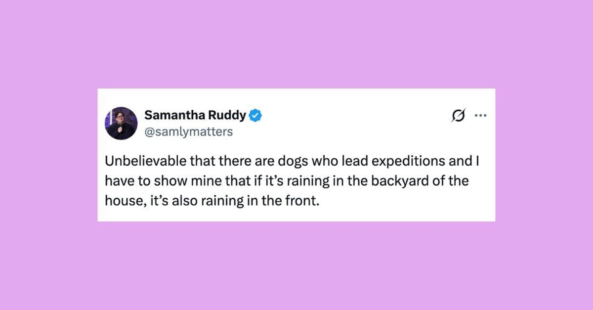 27 Of The Funniest Posts About Cats And Dogs This Week