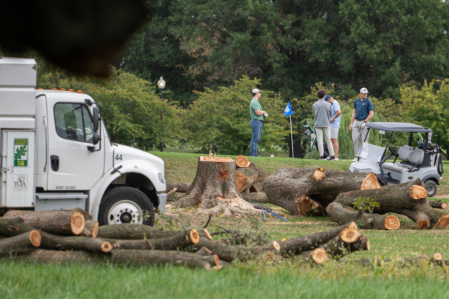 Golfers pass trees recently cut down by the National Park Service at East Potomac Golf Links on Oct. 10, 2026, in Washington.