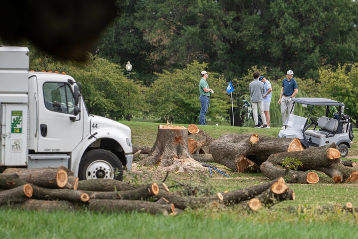 Federal Judge Rebukes DOJ for Secret Tree Cutting at DC Golf Course