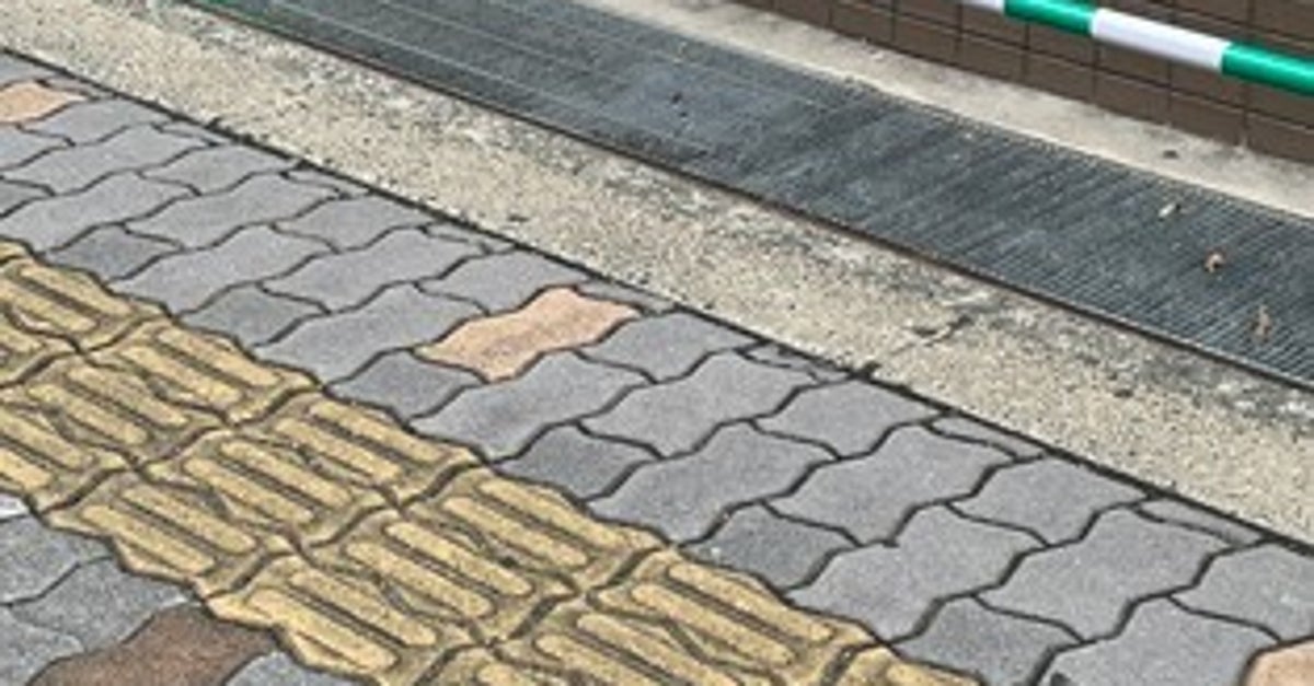路上で頑張る「幼すぎる三角コーン」に5.7万いいね⇒「成長したら赤いやつになるのかな?」と応援の声