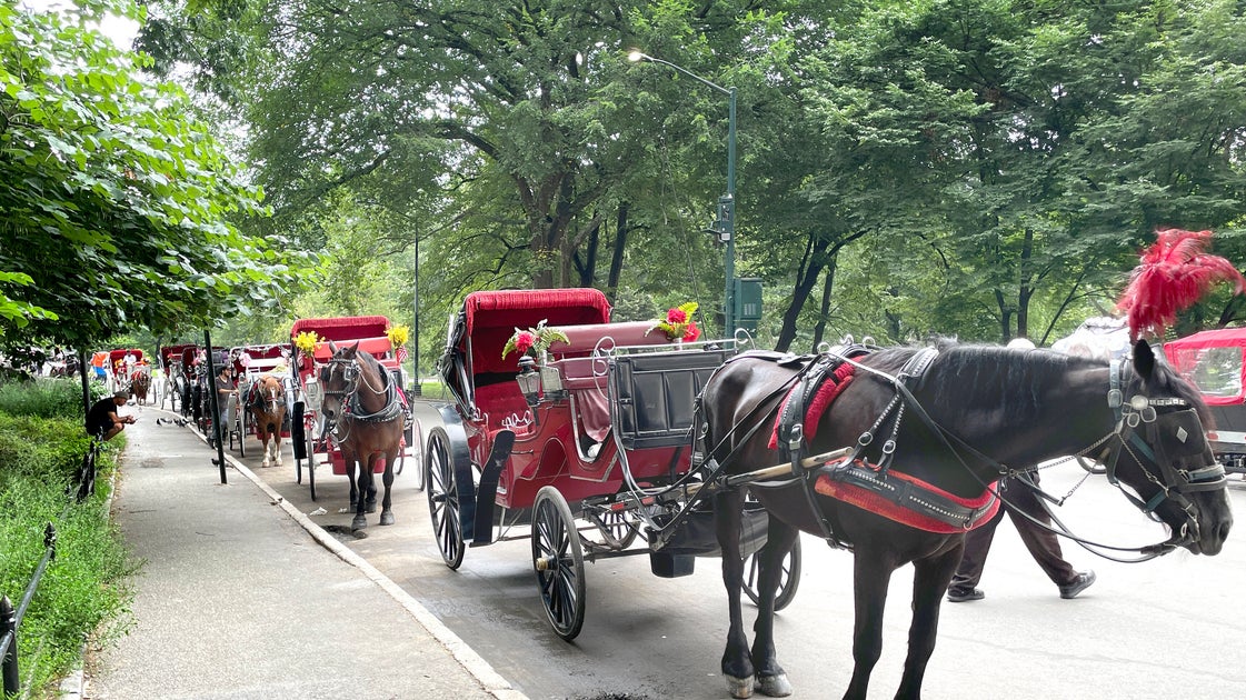 Mamdani Confirms NYC’s Horse Carriage Industry ‘Is Coming To An End’