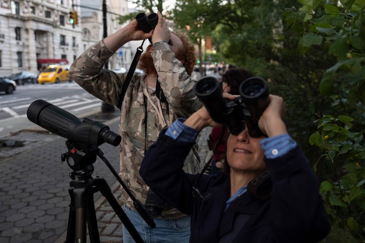 According to one expert, this is the first documented instance of barn owls nesting in Manhattan in modern history. The birds have attracted nightly crowds eager to capture a glimpse of the elusive birds.