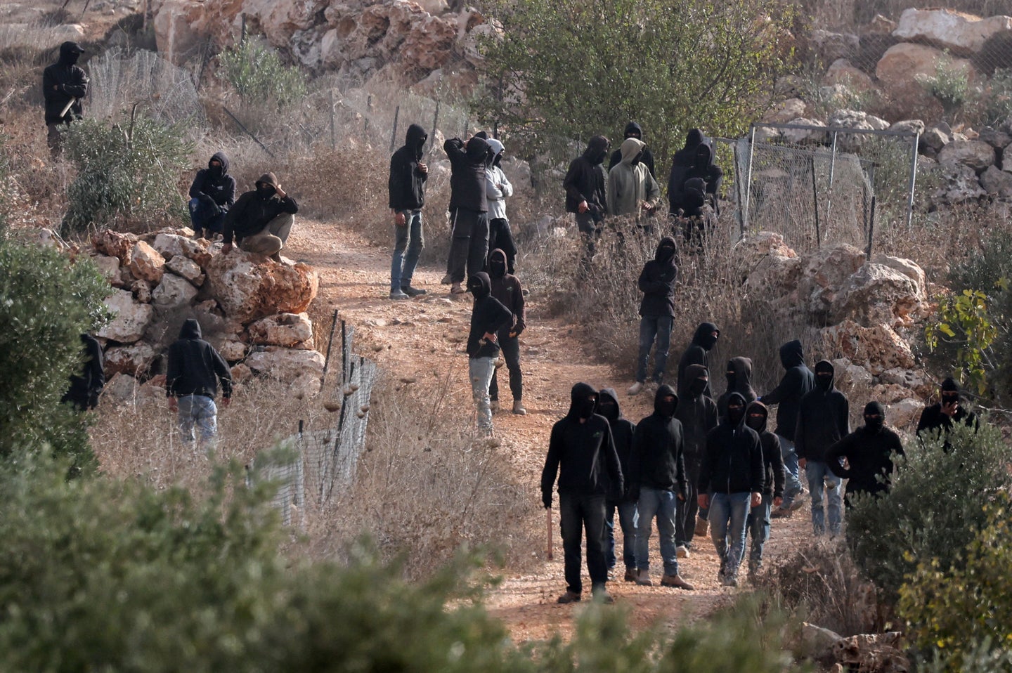 Israeli Mob Beats Washington Post Journalist, Burns Olive Trees In West ...