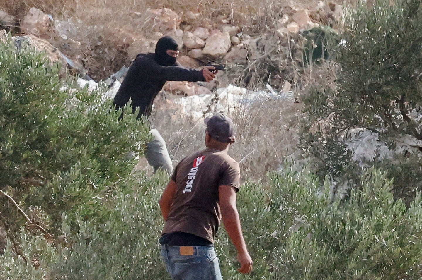 Israeli Mob Beats Washington Post Journalist, Burns Olive Trees In West ...